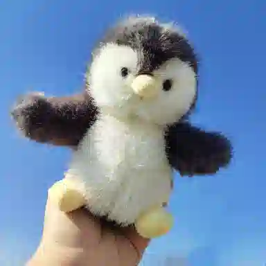 15cm