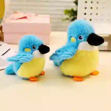 10cm14cm