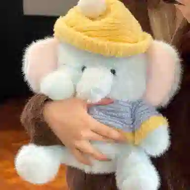 30cm