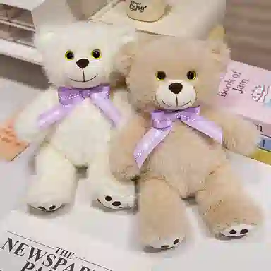 25cm35cm