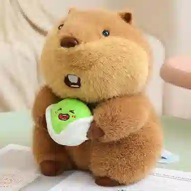 22cm30cm