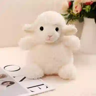 20cm