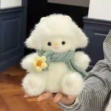20CM