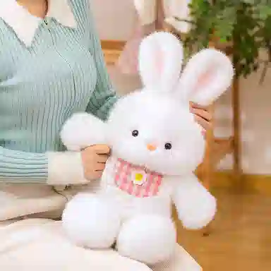 50cm