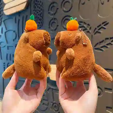 15cm