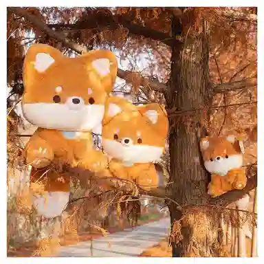 23cm36cm50cm