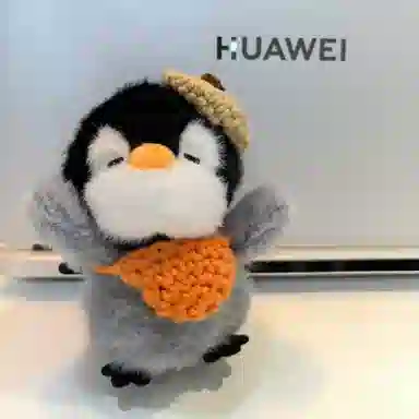 10cm