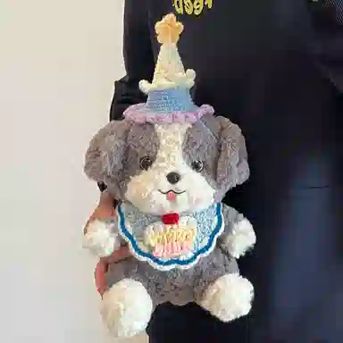 23cm30cm