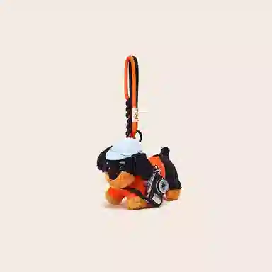 10cm