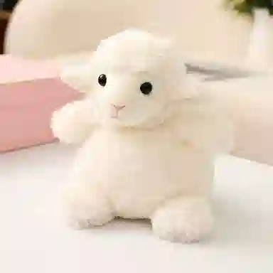 20cm