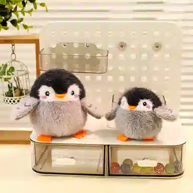 10cm14cm