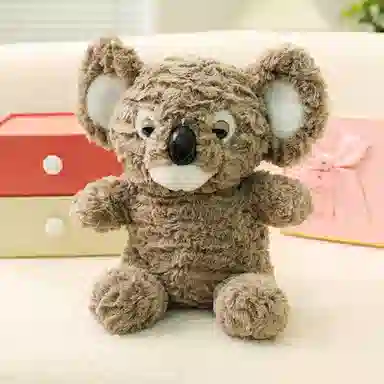 25cm