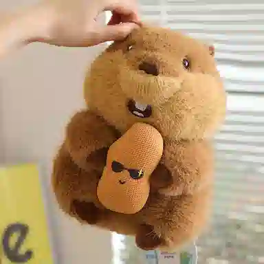 22cm30cm