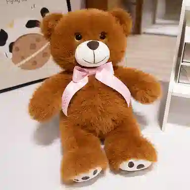 25cm35cm