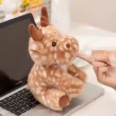 28cm40cm