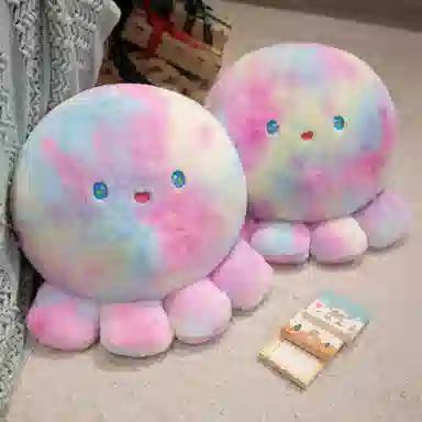 40cm50cm