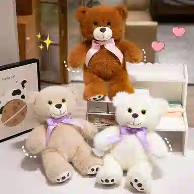 25cm35cm