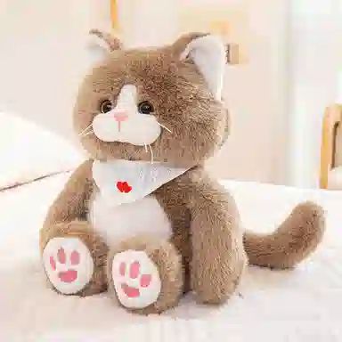 25cm35cm