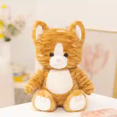 22cm30cm