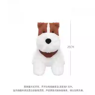 25cm