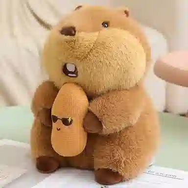 22cm30cm