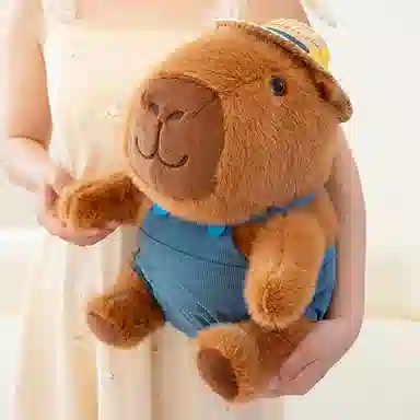 26cm35cm50cm