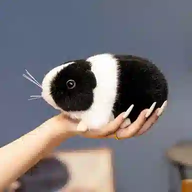 18cm