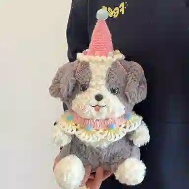 23cm30cm