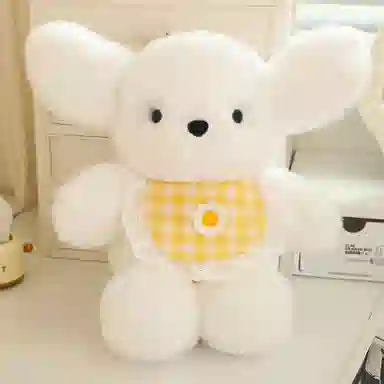 30cm40cm