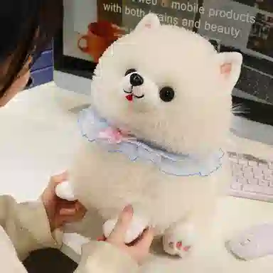 25CM32CM42CM