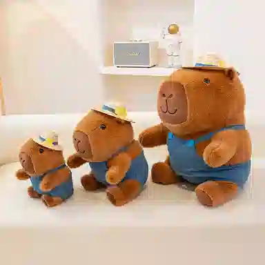 26cm35cm50cm