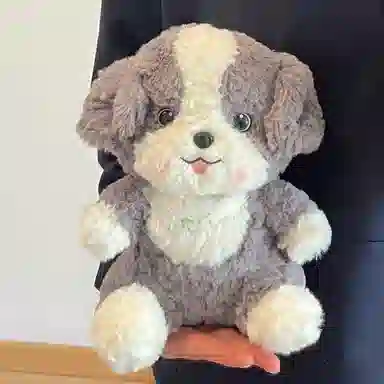 23cm30cm