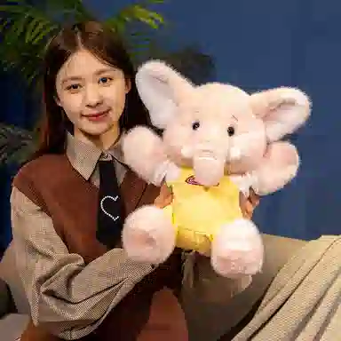 23cm32cm