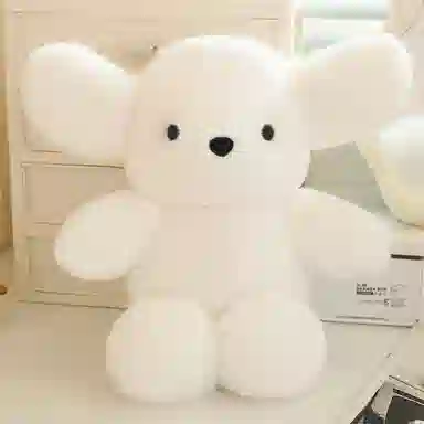 30cm40cm