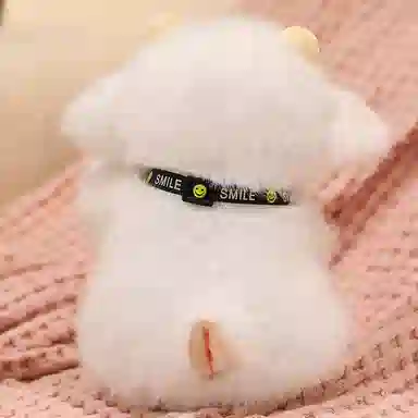 20CM