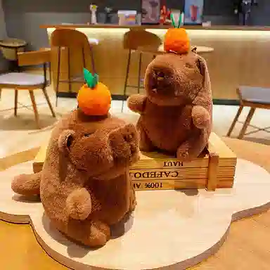 15cm