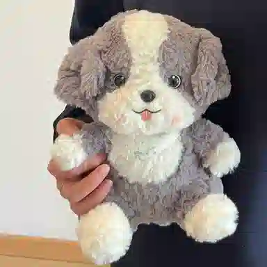 23cm30cm
