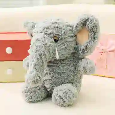 25cm