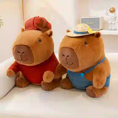 26cm35cm50cm