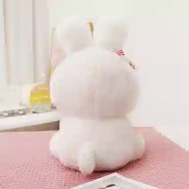 40cm50cm60cm