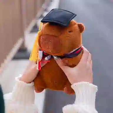 23cm