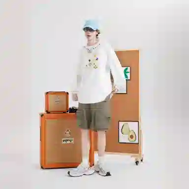HIKZ T