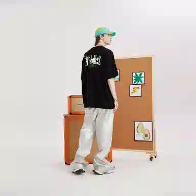 HIKZ logoT