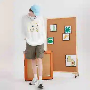 HIKZ T