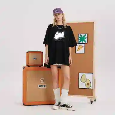 HIKZ T