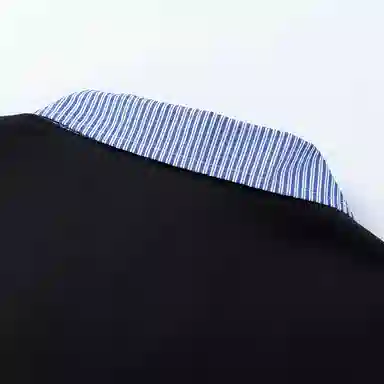 DIBINSAI STUDIO 320Polo