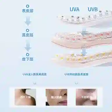 致朵 韩婵防晒霜 防水防汗保湿 干皮中性皮白皮黄皮