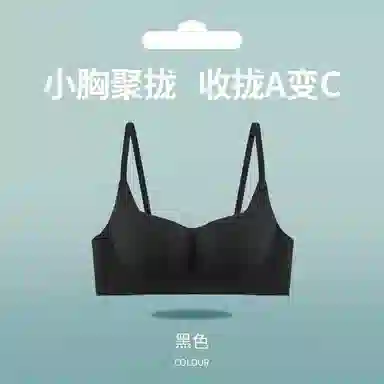 黛尔佳人 内衣女小胸聚拢显大无痕无钢圈收副乳软支撑上托防下垂胸罩文胸 女款