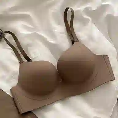 黛尔佳人 小胸聚拢显大舒适无钢圈收副乳防下垂软支撑文胸 女款