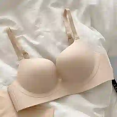 黛尔佳人 小胸聚拢显大舒适无钢圈收副乳防下垂软支撑文胸 女款